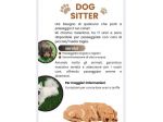 Dog Sitter