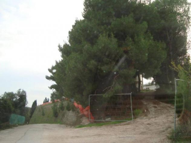Immobile in asta di 6170 m² con più di 5 locali in vendita a Fermo - Foto 3