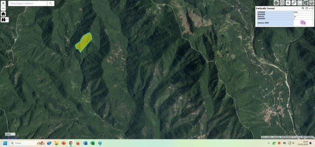 GIFFONI SEI CASALI - LOC. PREPEZZANO - BOSCO CEDUO DI 75000MQ