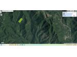 GIFFONI SEI CASALI - LOC. PREPEZZANO - BOSCO CEDUO DI 75000MQ