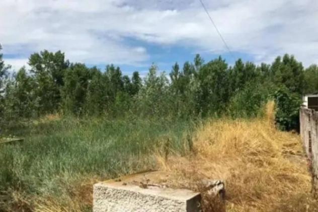 Immobile in asta di 22556 m² in vendita a Solarolo - Foto 3