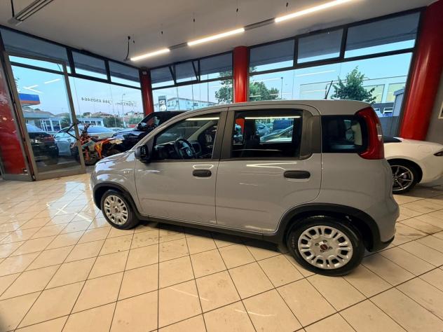 Fiat Panda 1.0 FireFly S&S Hybrid - Foto 7