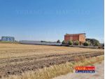R.NE BICCARI, LOC.MANFREDINI, TERRENO AGRICOLO MQ.4300 CIRCA