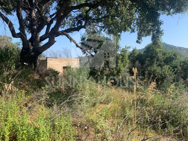 Terreno Agricolo con Magazzino in Vendita a 6 km da Cefalù - Foto 8