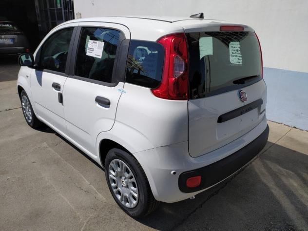 FIAT Pandina 65 hybrid IconCBC 5 - Foto 7