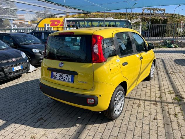 FIAT Pandina Pandina 1.0 firefly hybrid Icon s&s 65cv - Foto 8