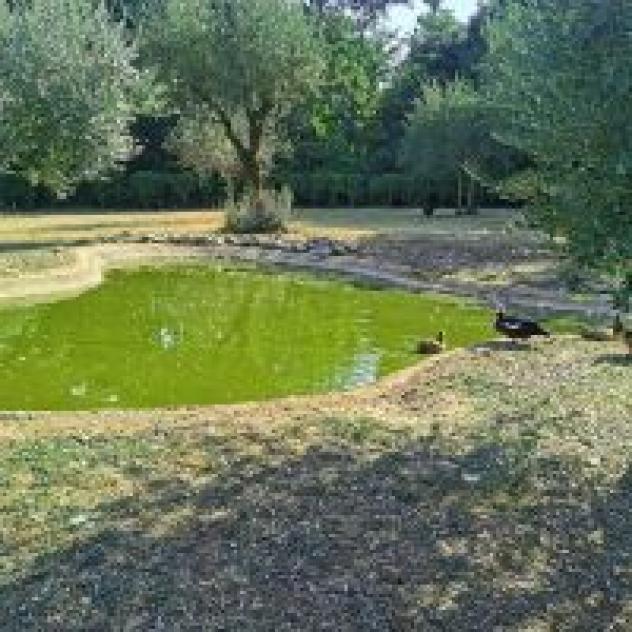 Agriturismo L'Ulivo - Foto 4