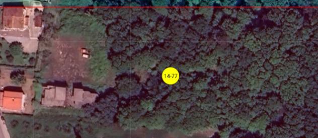 Immobile in asta di 10460 m² in vendita a Santa Maria a Monte - Foto 7