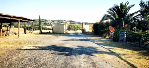 Toscana Appartamento con giardino e piscina - Foto 5