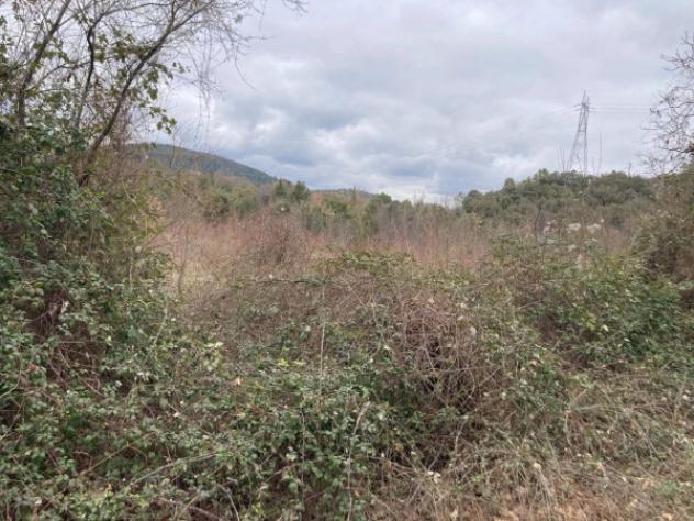 Immobile in asta di 1420 m² in vendita a Terni - Foto 3