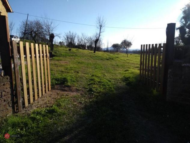 Rustico/Casale di 250mq in maglianese sp54 a Calvi dell'Umbria - Foto 8