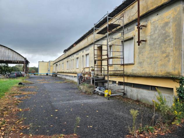 Immobile in asta di 7600 m² in vendita a Crespina e Lorenzana - Foto 12