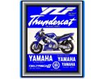 14 adesivi x moto yamaha YZF thundercat deltaboxII