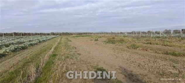 RUSTICO di 2 vani e di 130 mq (GROSSETO - POGGIALE) rif. 2537.28M - Foto 17