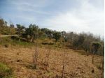 Agricolo in Strada Comunale Crozzanello-Santa Maria