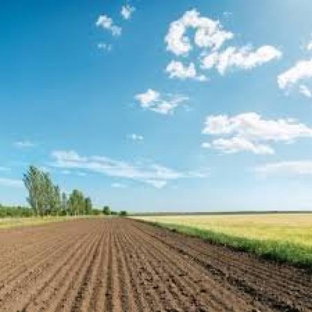 Terreno agricolo in vendita a San Martino a Ulmiano - San Giuliano Terme 5440 mq  Rif: 539152
