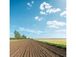 Terreno agricolo in vendita a San Martino a Ulmiano - San Giuliano Terme 54 &hellip;