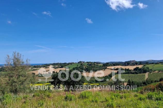 Villa di 440 m² con più di 5 locali e box auto in vendita a Tavullia - Foto 4