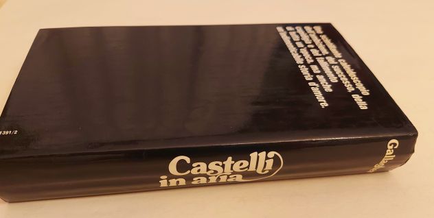 Castelli in aria di Patricia Gallagher 1°Ed.Euroclub su licenza Sonzogno, 1978 - Foto 3