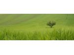 Azienda Agricola in vendita a Petritoli