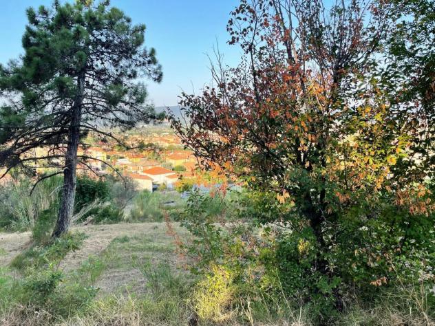 Terreno edificabile in vendita a Castelnuovo Magra - Foto 8