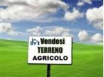 Terreno agricolo in vendita a Pontasserchio - San Giuliano Terme 1550 mq  R &hellip;