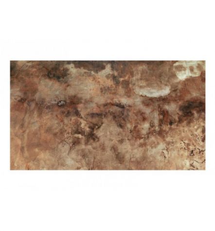 Fotomurale Adesivo Cm. 490x280 Marrone Rustico ARREDALACASA - Foto 2