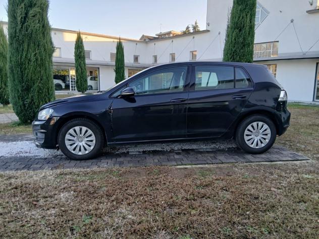 Volkswagen Golf Golf 1.6 TDI 90 CV 5p. Trendline - Foto 6