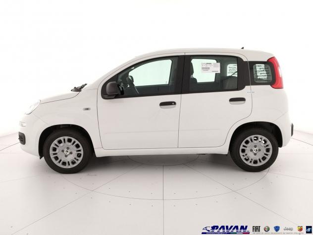 FIAT Pandina Hybrid 65cv Icon - Foto 6