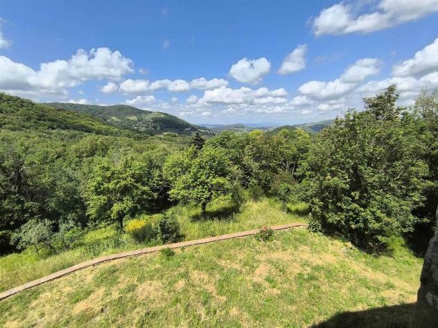 Colonica in Vendita in zona SAN POLO IN CHIANTI con giardino - Foto 4