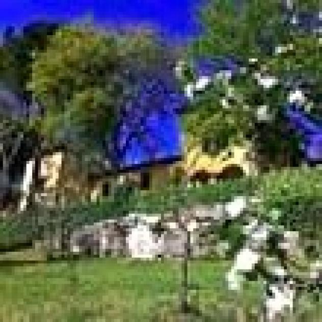 Il Trebbiolo S.r.l. in Liquidazione - Foto 4