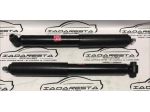 Coppia Ammortizzatori Posteriori Peugeot 308 dal 2013 9810976580