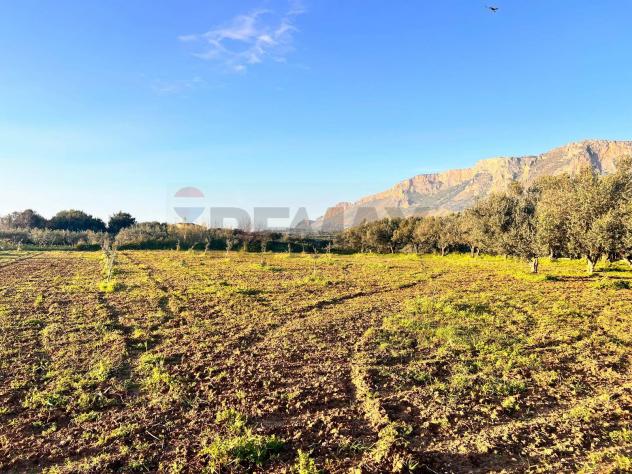 Terreno in vendita a Partinico - Foto 7