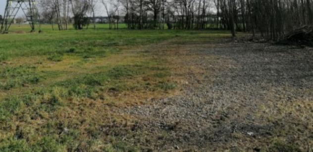 Immobile in asta di 54470 m² in vendita a Parma - Foto 3