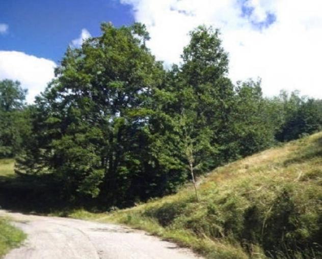 Immobile in asta di 31 m² in vendita a Rocca Santa Maria - Foto 8