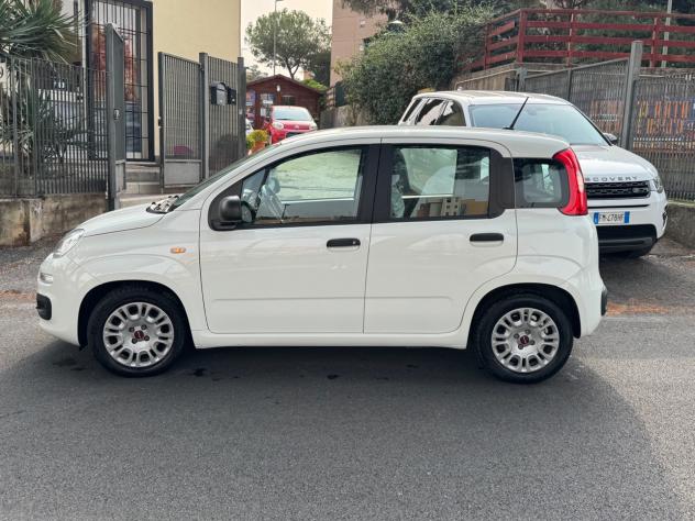 Fiat Panda 1.0 FireFly S&S Hybrid NUOVA - Foto 4