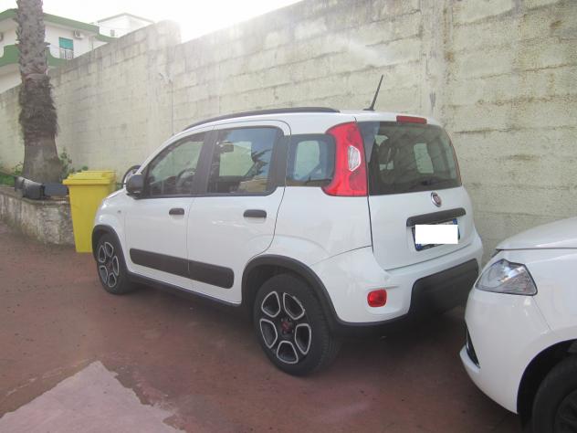 Fiat Panda 1.0 FireFly S&S Hybrid Sport - Foto 2