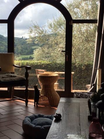 Appartamento in Affitto in zona BARGINO con giardino - Foto 16