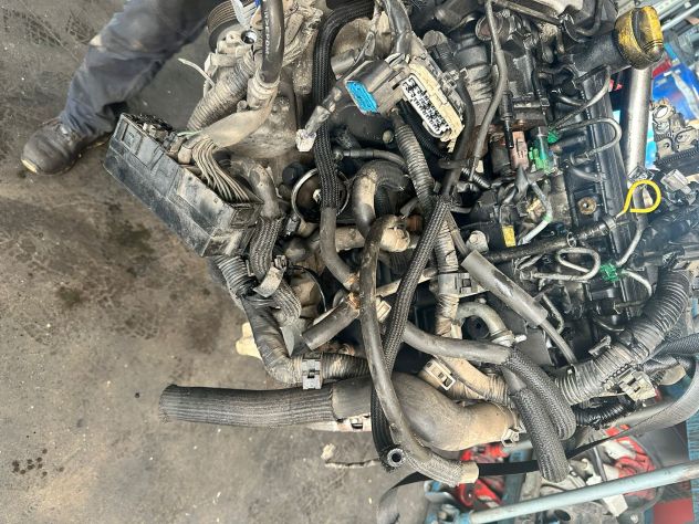 MOTORI USATI SUZUKI JIMNY 1.5 DDIS 86CV K9K266 - Foto 4
