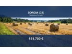 Immobile in asta di 8570 m² in vendita a Borgia