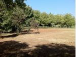 Olevano Romano terreno agricolo.