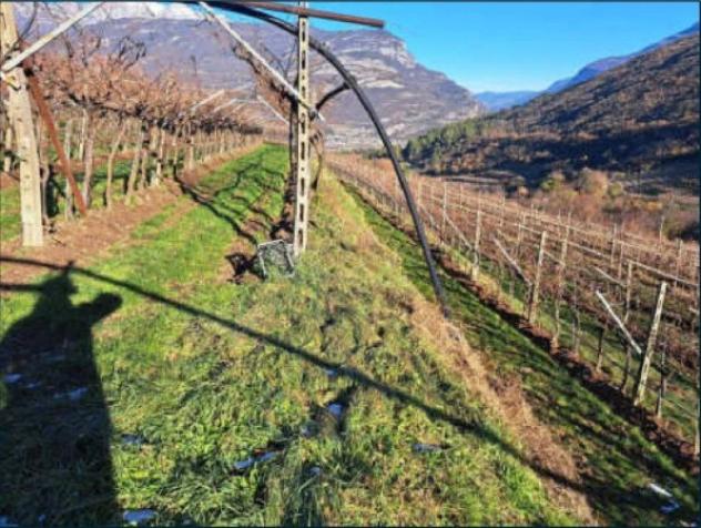 Immobile in asta di 8923 m² in vendita a Rovereto - Foto 15