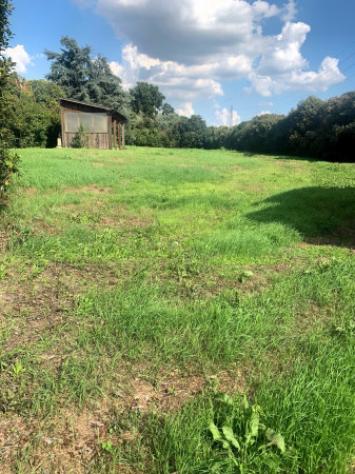 Terreno di 3700 m² in vendita a Segrate - Foto 3