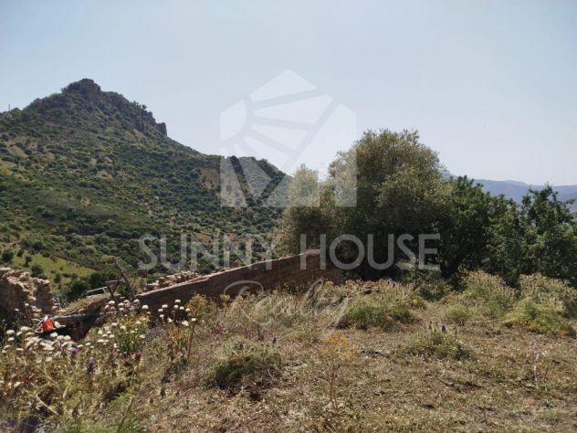 terreno con ruderi e uliveto- ideale per agriturismo o Resort nelle Madonie - Foto 10