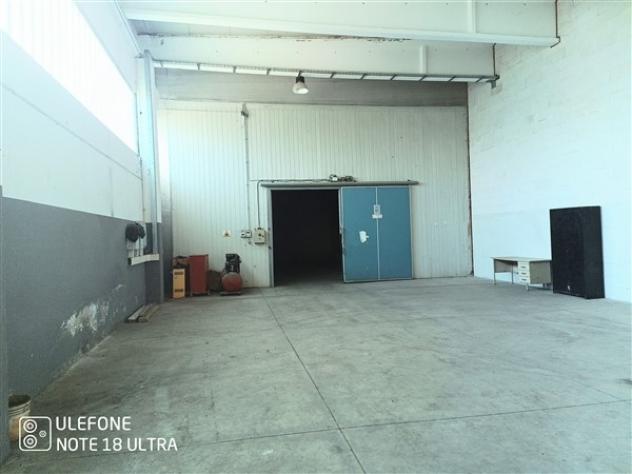USINI periferia CAPANNONE di 400mq circa com cellafrigo e ufficio - Foto 8