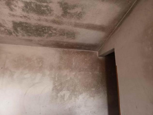 Immobile in asta di 34 m² in vendita a Rovigo - Foto 11