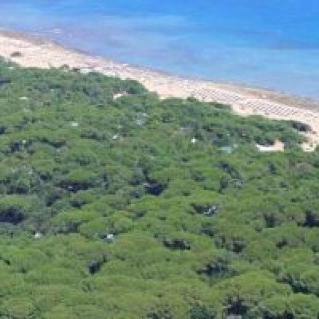 Tirreno Immobiliare 2080 S.r.l. - Foto 2