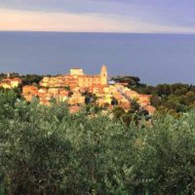 La Terrazza del Conero - Foto 3