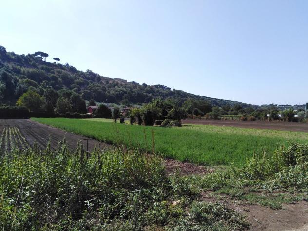 Agricolo in Via della Moletta
