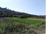 Agricolo in Via della Moletta